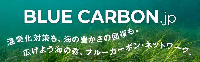 ブルーカーボン・ネットワーク