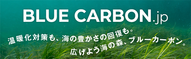 ブルーカーボン.jp 温暖化対策も、海の豊かさの回復も。広げよう海の森、ブルーカーボン。